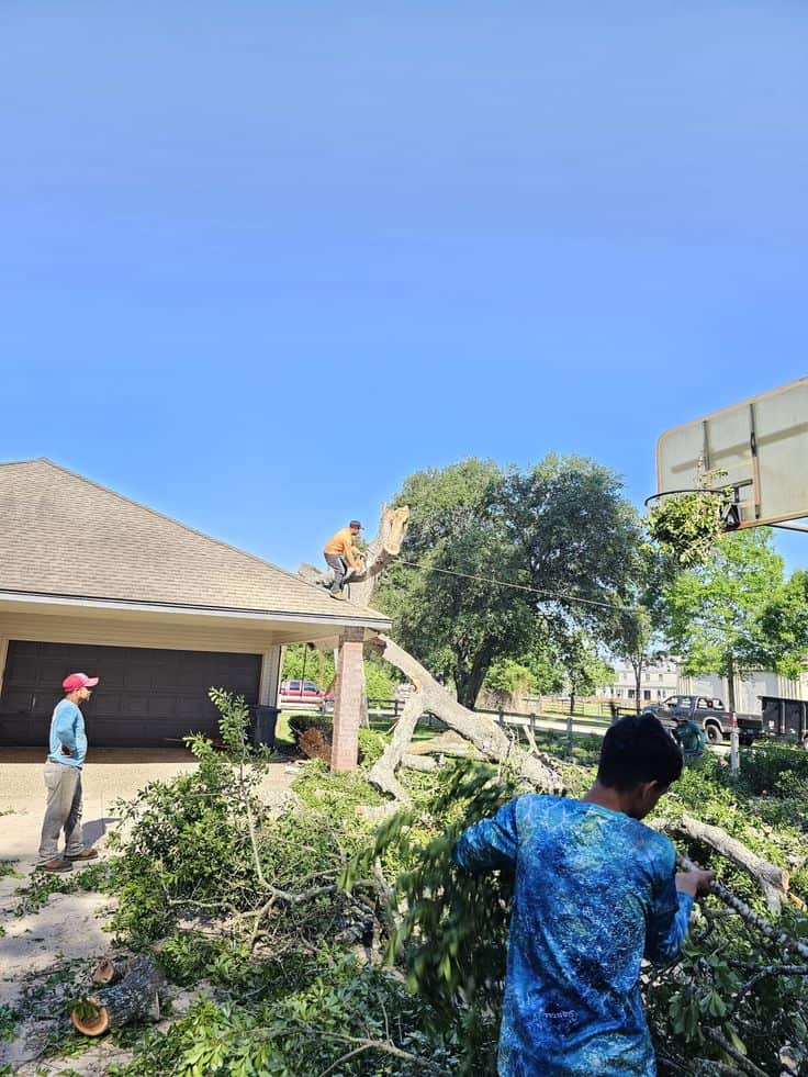 1st Priority Tree Service, LLC